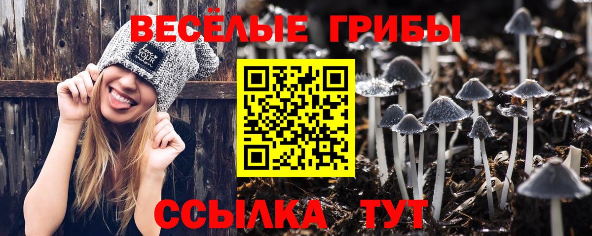Холмск  хочу   Вход с VPN  Псилоцибиновые грибы Psilocybe 